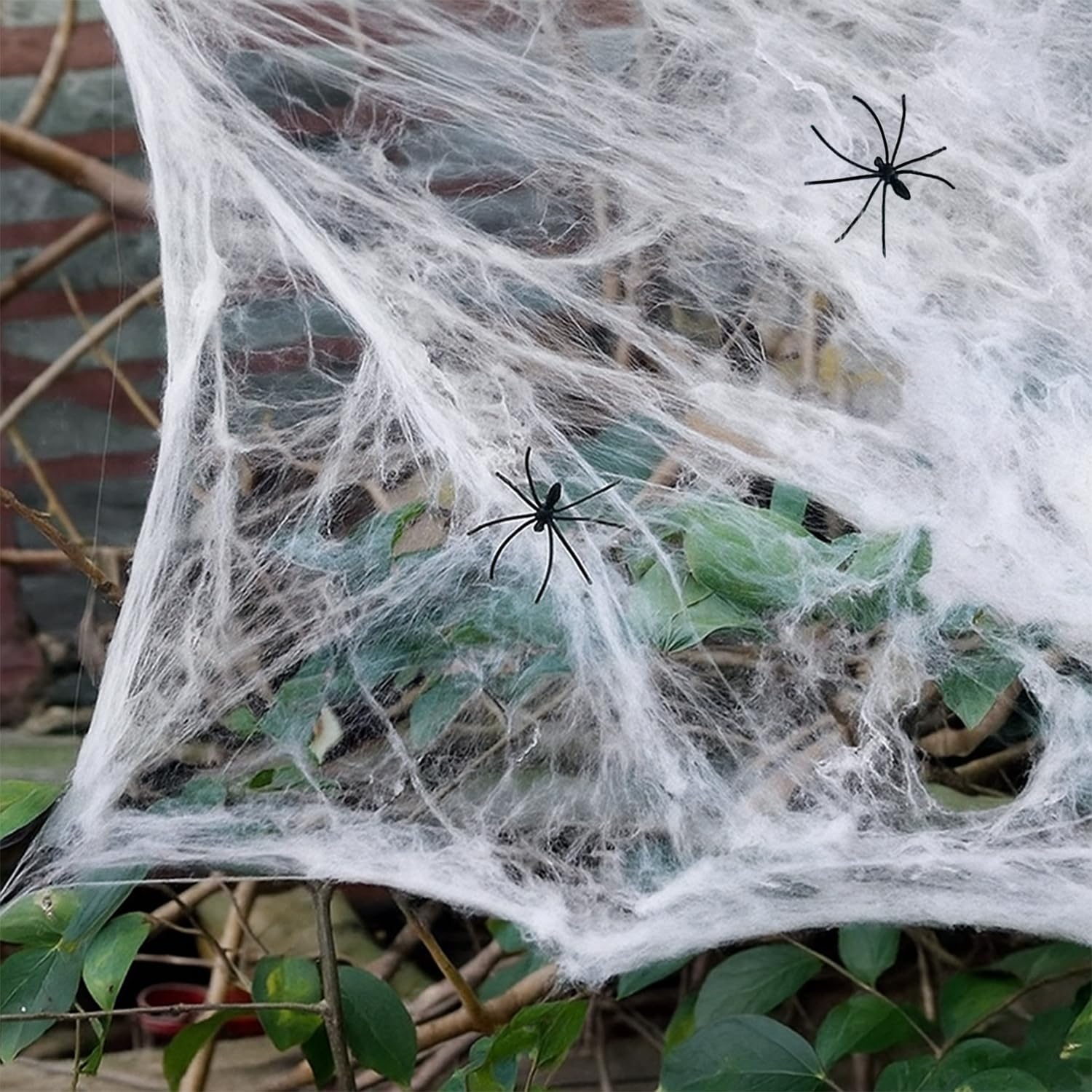 Large Spider Web